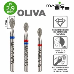 Biotech Fresa Diamante Oliva 2.9 mm