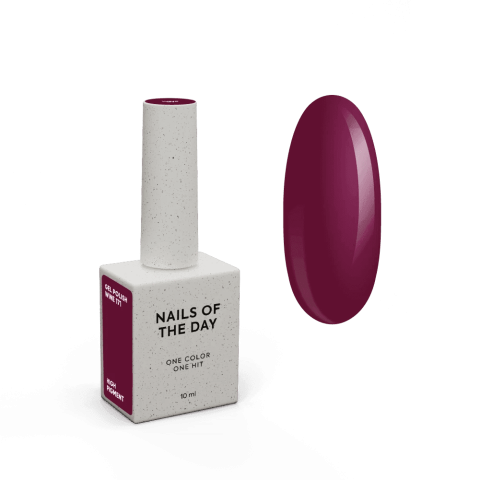 NAILSOFTHEDAY Gel polish Wine 171