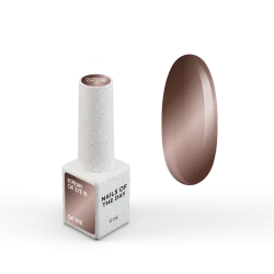 NAILSOFTHEDAY Korean cat eye 19, 6 ml