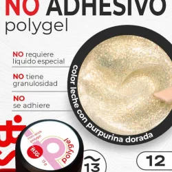 BSG Polygel Non-Stick #12 (13 g)